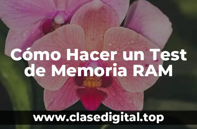 Cómo Hacer un Test de Memoria RAM