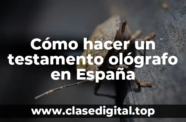 Cómo hacer un testamento ológrafo en España