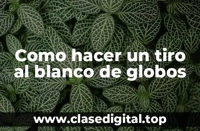 ¿Qué es un tiro al blanco de globos y para qué sirve?