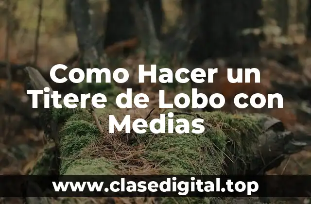 Como Hacer un Titere de Lobo con Medias