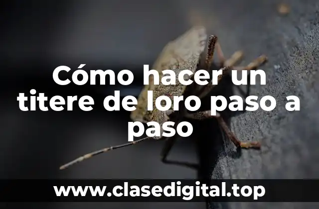 Cómo hacer un titere de loro paso a paso