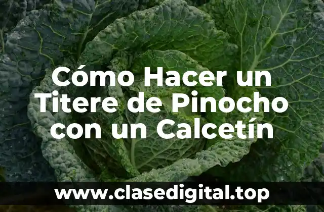 ¿Qué es un Titere de Pinocho con un Calcetín?