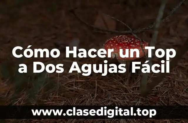 Cómo Hacer un Top a Dos Agujas Fácil