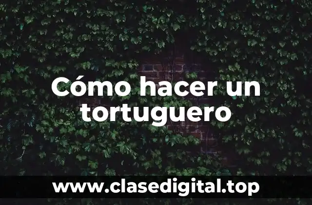 Cómo hacer un tortuguero