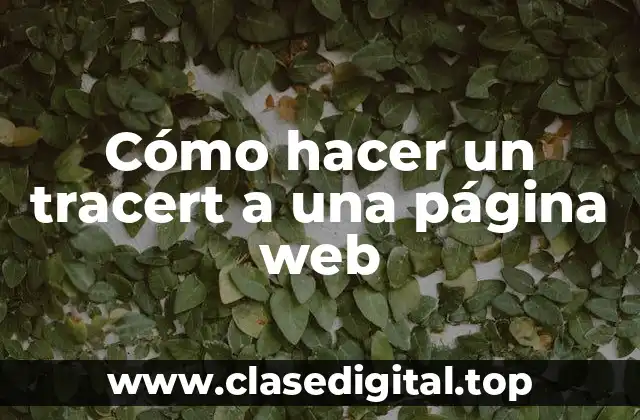 Cómo hacer un tracert a una página web