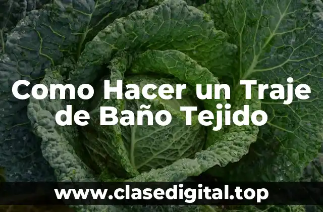 Como Hacer un Traje de Baño Tejido