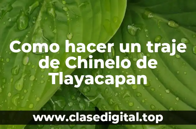 Como hacer un traje de Chinelo de Tlayacapan