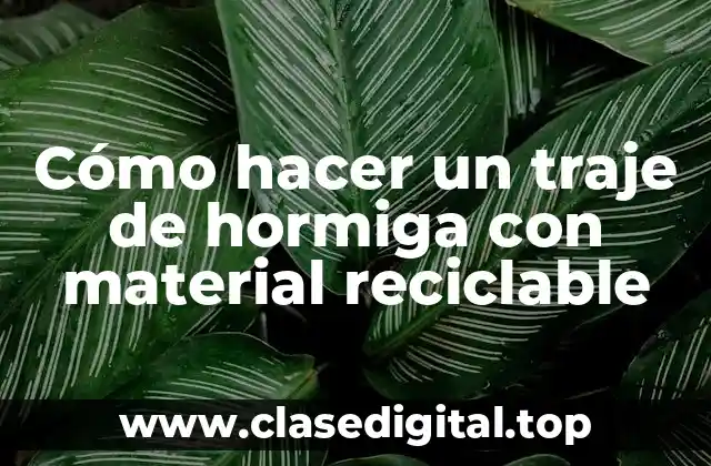 Cómo hacer un traje de hormiga con material reciclable
