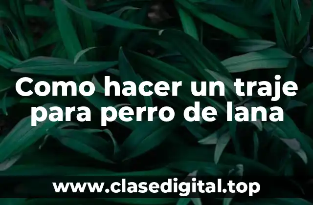 Como hacer un traje para perro de lana