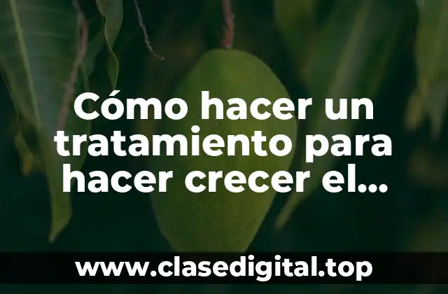 Cómo hacer un tratamiento para hacer crecer el cabello