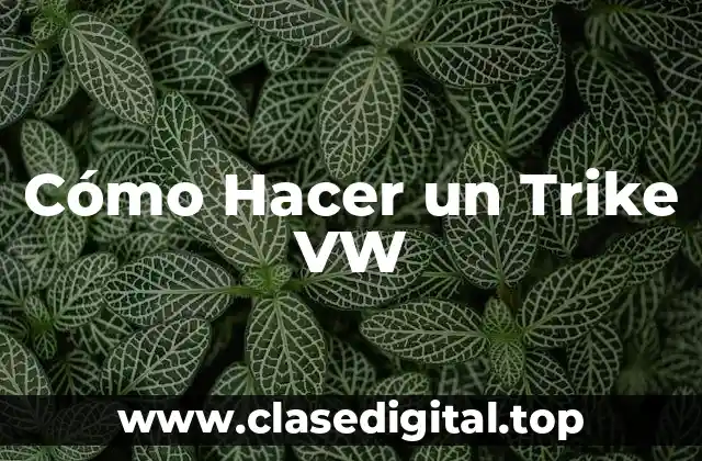 Cómo Hacer un Trike VW