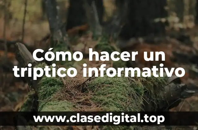 Cómo hacer un triptico informativo