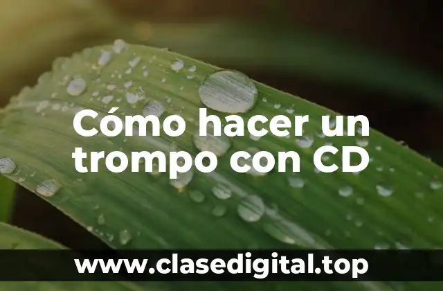 Cómo hacer un trompo con CD