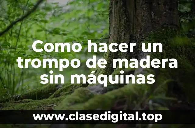 ¿Qué es un trompo de madera sin máquinas?