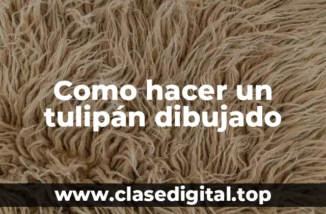 ¿Qué es un tulipán dibujado?