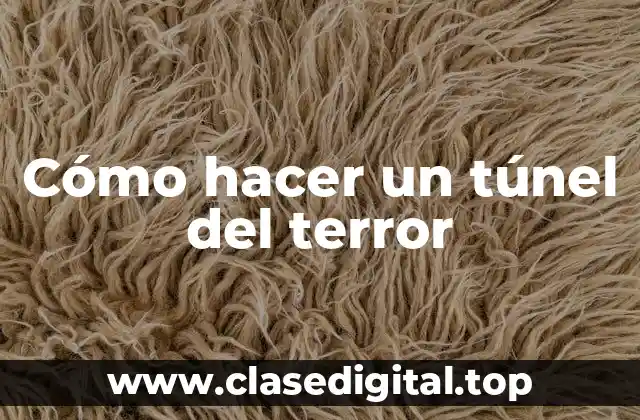 ¿Qué es un túnel del terror y para qué sirve?