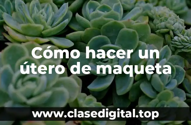 Cómo hacer un útero de maqueta