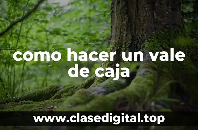 ¿Qué es un vale de caja y para qué se utiliza?