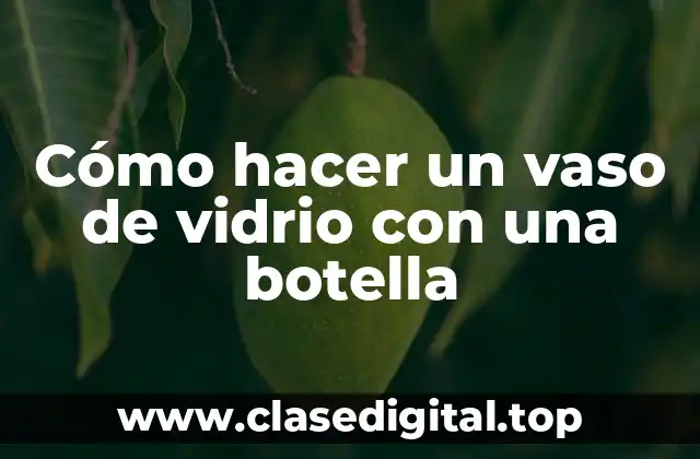 Cómo hacer un vaso de vidrio con una botella