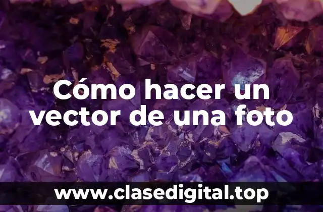 Cómo hacer un vector de una foto