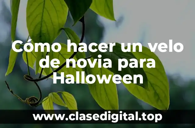 Cómo hacer un velo de novia para Halloween