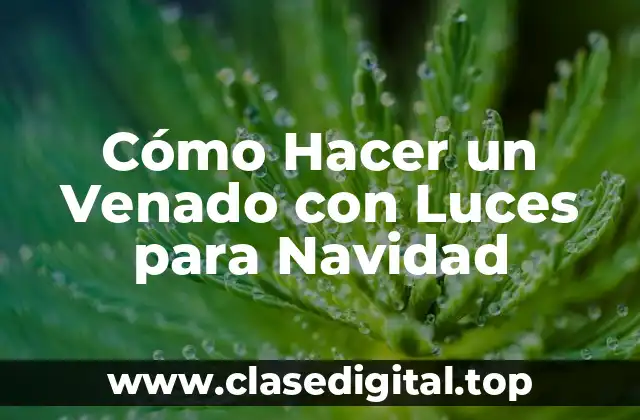 Cómo Hacer un Venado con Luces para Navidad