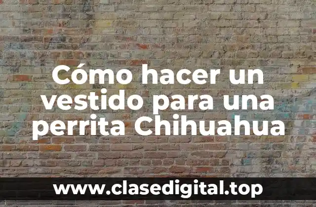 Cómo hacer un vestido para una perrita Chihuahua