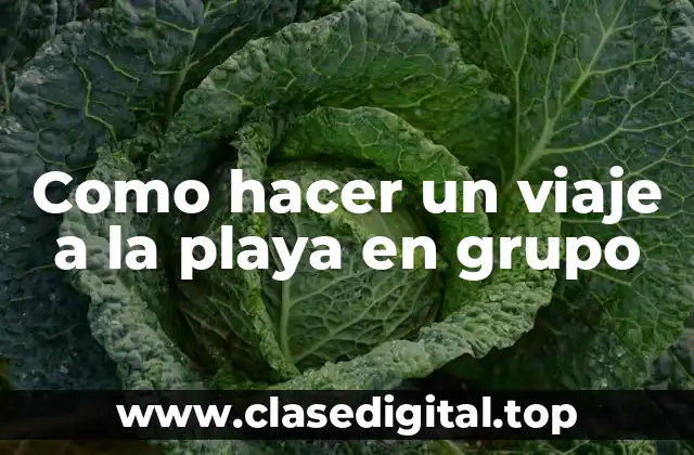 Como hacer un viaje a la playa en grupo