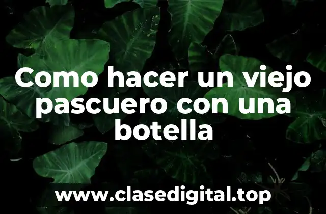 Como hacer un viejo pascuero con una botella