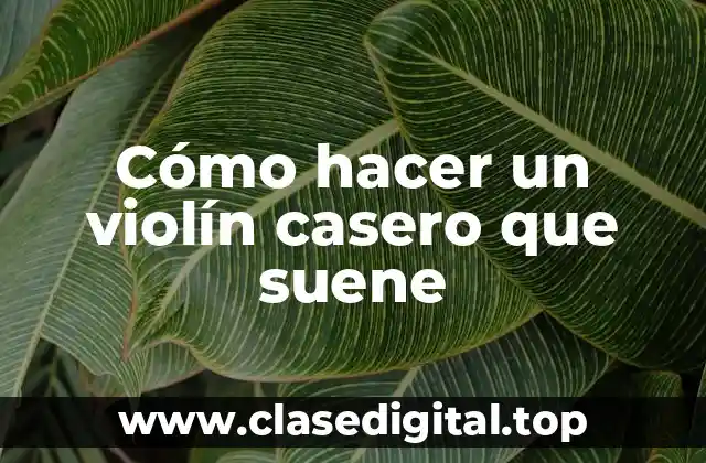 Cómo hacer un violín casero que suene