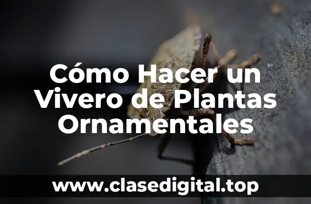 Cómo Hacer un Vivero de Plantas Ornamentales