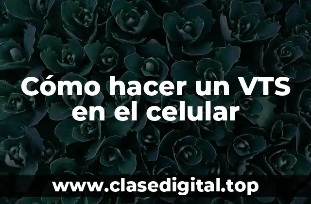 Cómo hacer un VTS en el celular