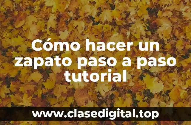 Qué es un zapato y para qué sirve