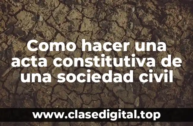Como hacer una acta constitutiva de una sociedad civil