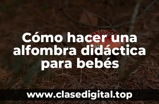 ¿Qué es una alfombra didáctica para bebés?