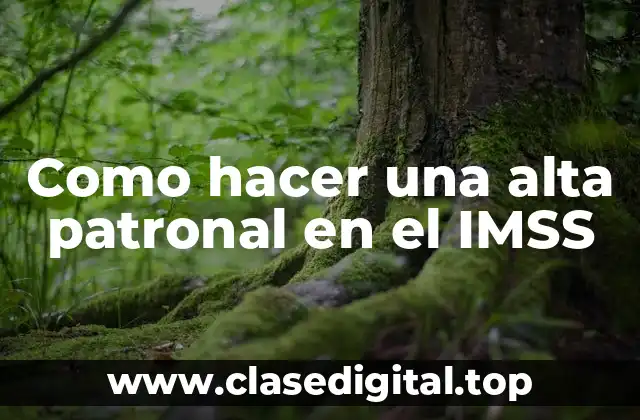 Como hacer una alta patronal en el IMSS