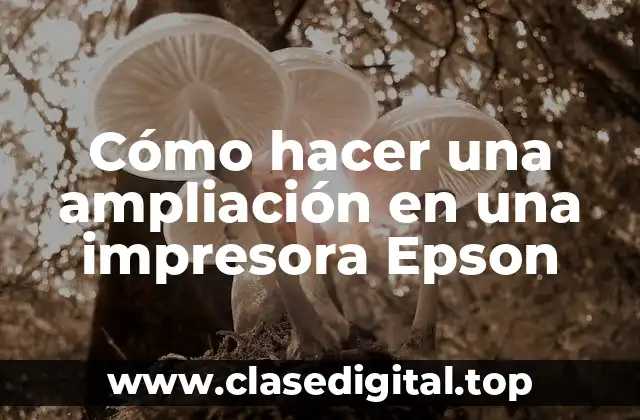 Cómo hacer una ampliación en una impresora Epson