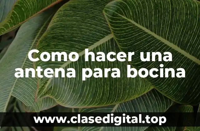 Como hacer una antena para bocina