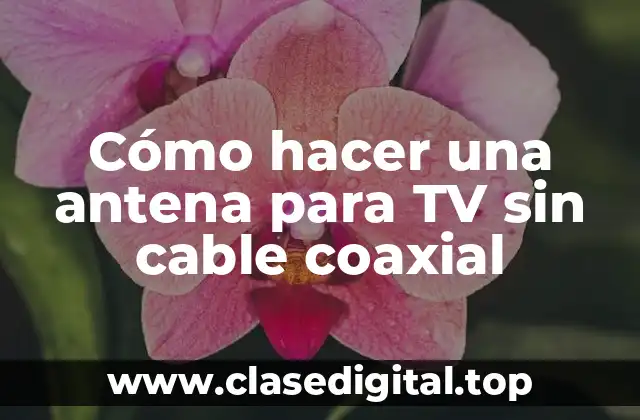 Cómo hacer una antena para TV sin cable coaxial