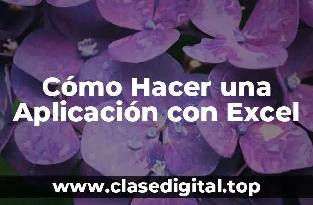 Cómo Hacer una Aplicación con Excel