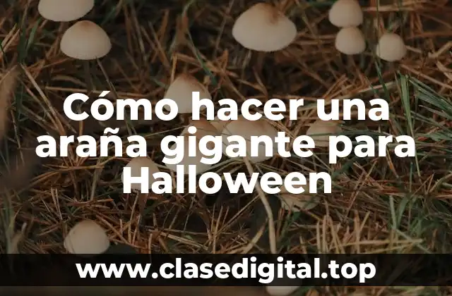 ¿Qué es una araña gigante para Halloween?