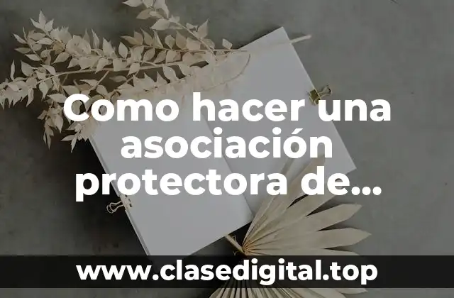 Como hacer una asociación protectora de animales