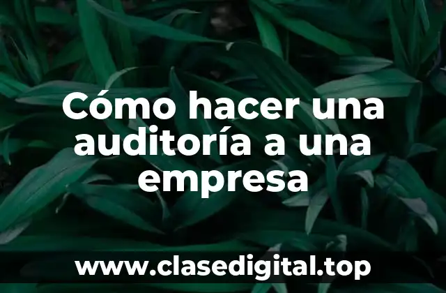 Cómo hacer una auditoría a una empresa