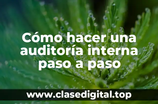 Cómo hacer una auditoría interna paso a paso