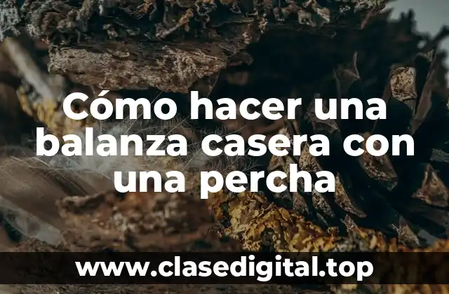 Cómo hacer una balanza casera con una percha