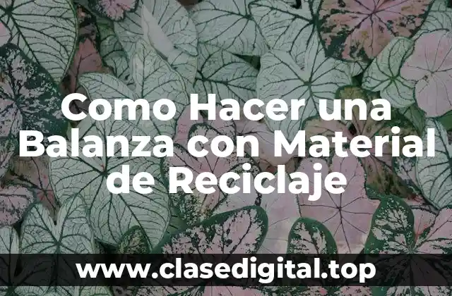 Como Hacer una Balanza con Material de Reciclaje