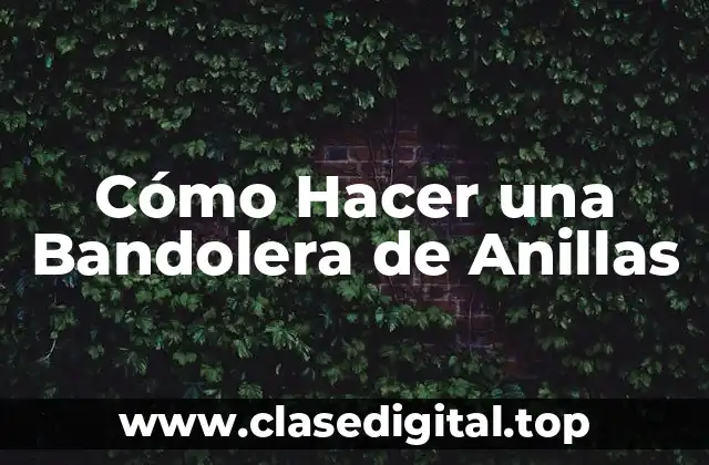 Cómo Hacer una Bandolera de Anillas