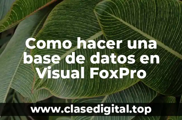Como hacer una base de datos en Visual FoxPro