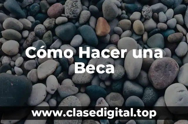 Cómo Hacer una Beca