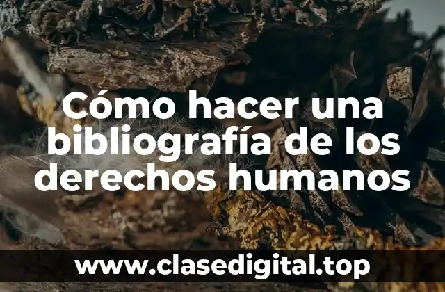 Cómo hacer una bibliografía de los derechos humanos